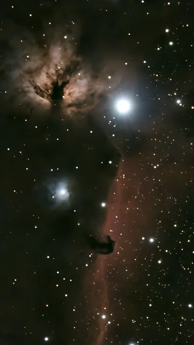 Horsehead and Flame Nebula