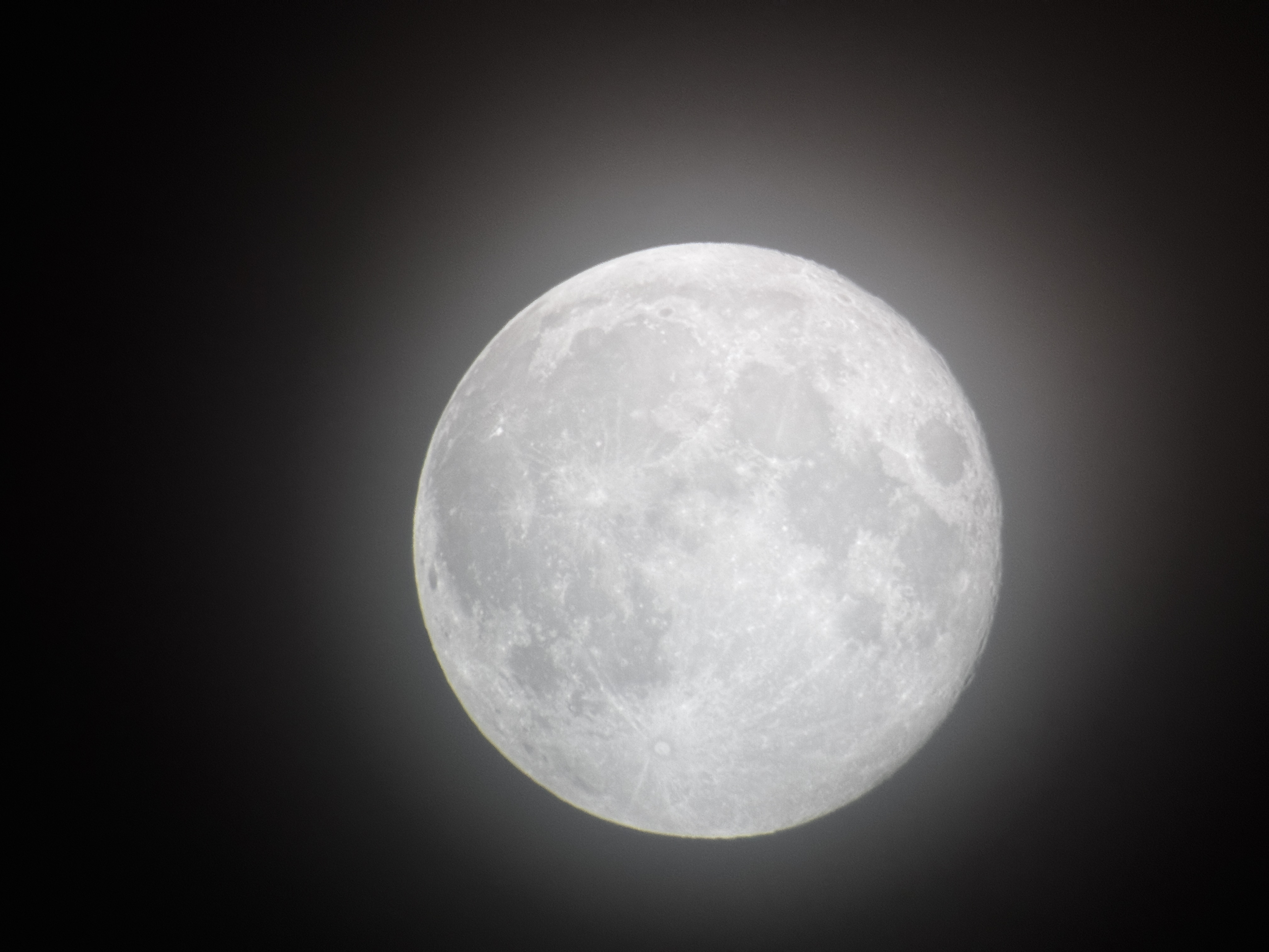 The Full Moon