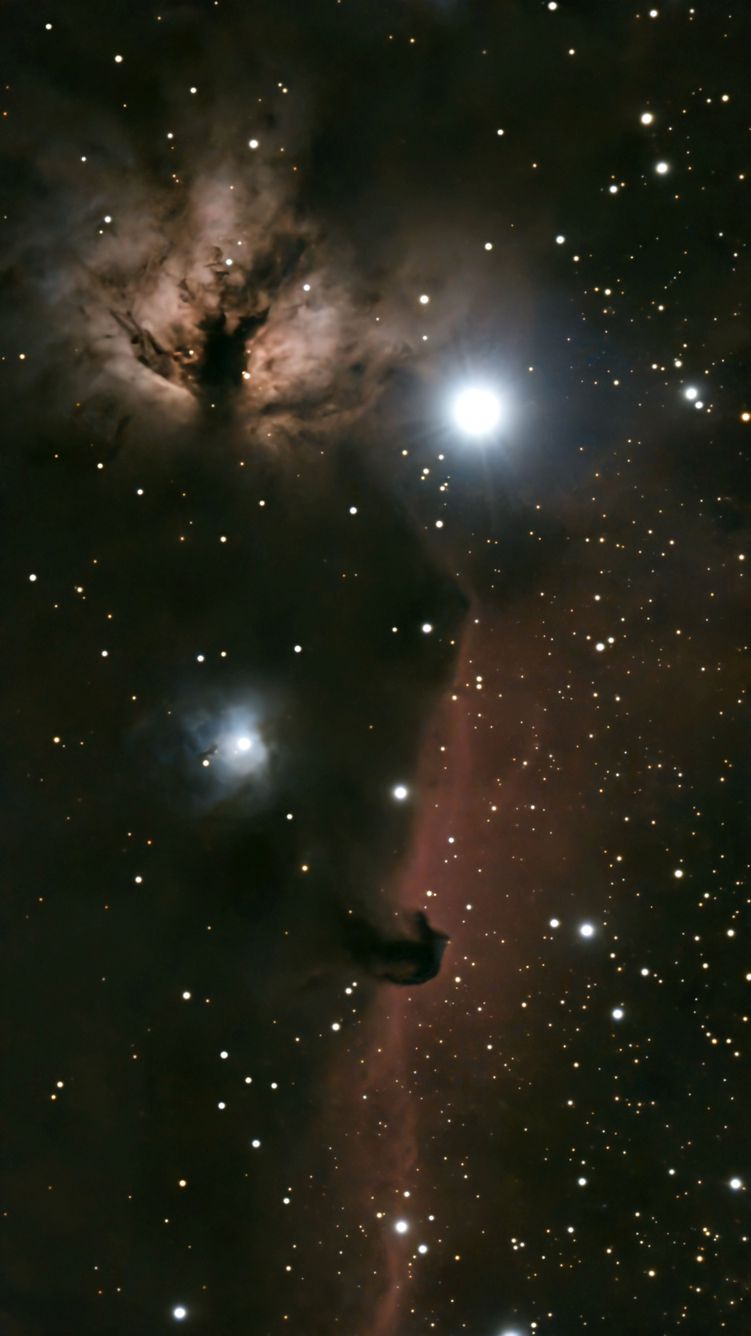 Horsehead and Flame Nebula