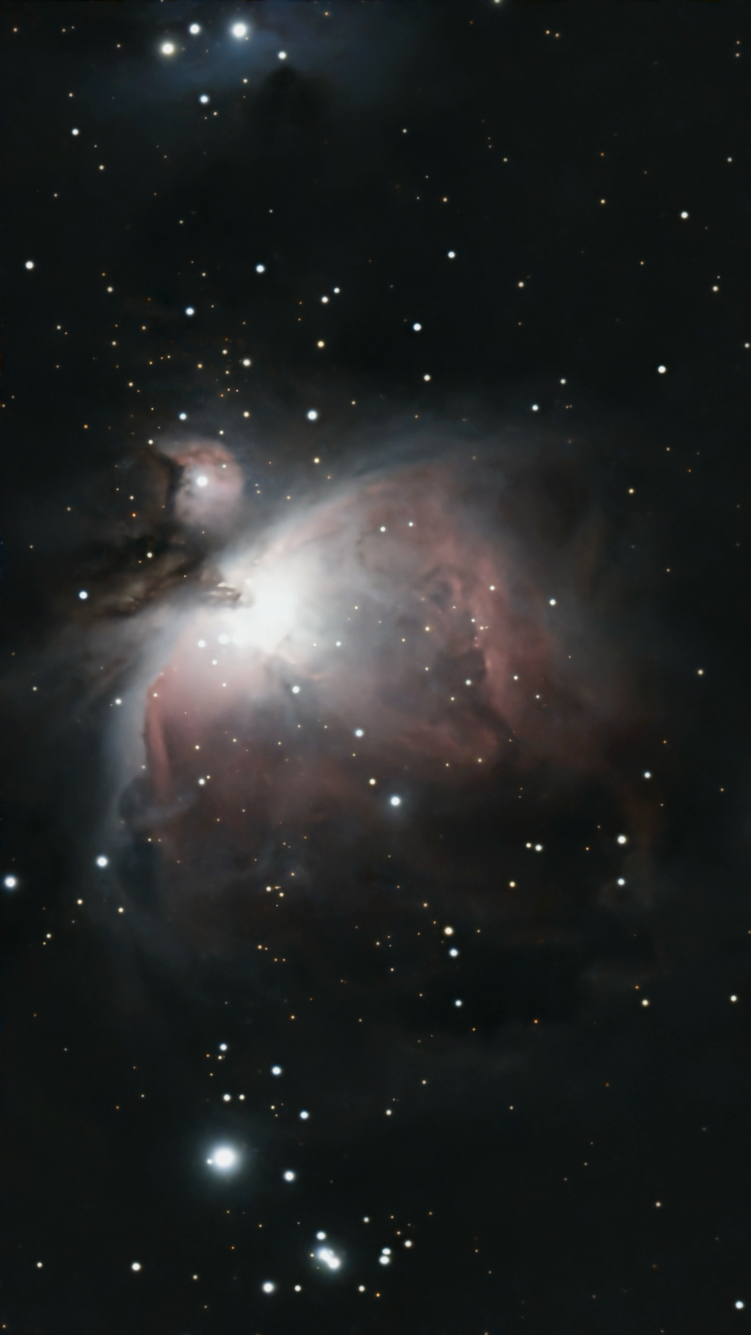 Orion Nebula (M42)